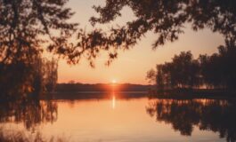 1216x832 16 01 30 31 568033212 265x160