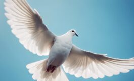 1216x832 16 02 02 09 548713751 265x160