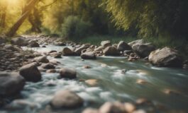 1216x832 19 22 47 01 781674485 265x160