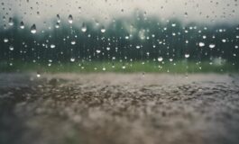 1216x832 20 13 00 33 540446273 265x160