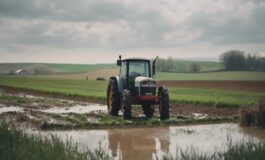 1216x832 20 16 15 31 663003523 265x160