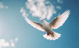 1216x832 20 20 15 49 347508682 265x160