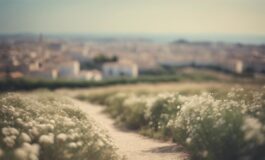 1216x832 21 07 00 31 167425081 265x160