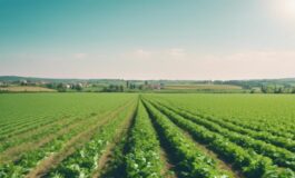 1216x832 21 22 45 43 389624013 265x160