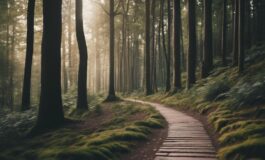 1216x832 22 04 30 29 388074026 265x160