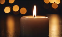 1216x832 22 22 31 42 711346776 265x160