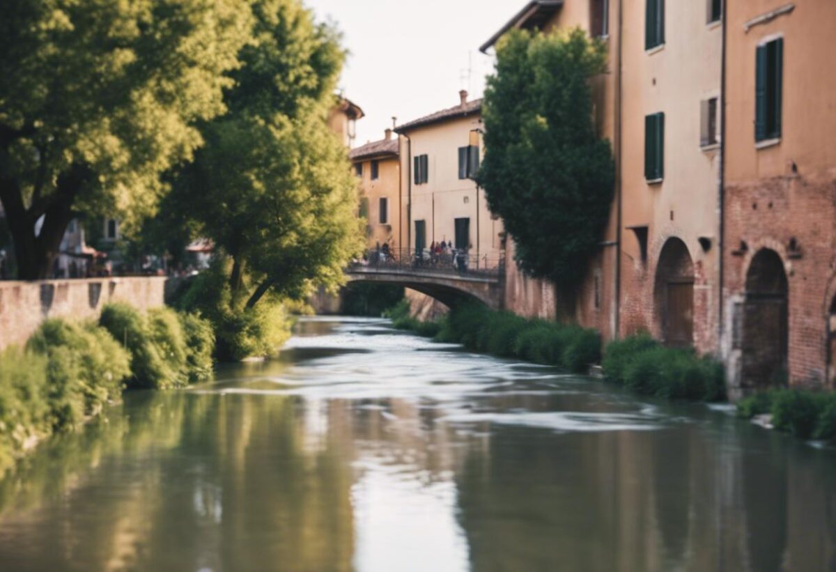 La barriera posta sul fiume Savio a Cesena ha intrappolato i detriti.