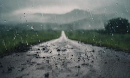 1216x832 24 12 00 56 794865474 265x160