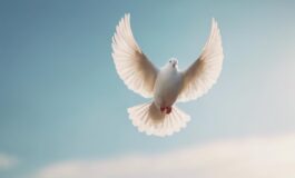 1216x832 24 18 15 44 827324492 265x160