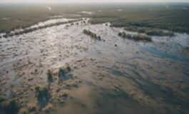 1216x832 25 16 15 33 977817405 265x160