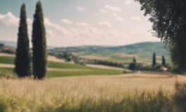 1216x832 27 05 30 47 47488516 265x160