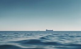 1216x832 29 23 15 46 675617157 265x160