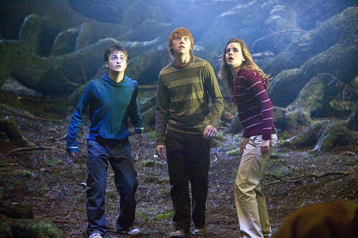 Harry Potter, nuova serie nel 2025: iniziano i casting per i ruoli dei tre protagonisti