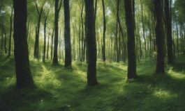 1216x832 01 22 15 32 981225730 265x160