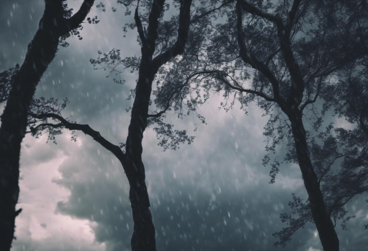 Previste condizioni meteorologiche avverse con pioggia e venti forti, il maltempo persisterà fino al fine settimana.