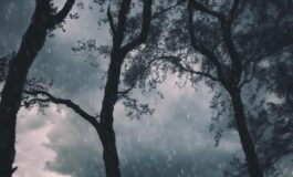 1216x832 03 04 31 59 185395379 265x160