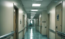 1216x832 03 17 00 32 836214958 265x160