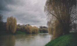 1216x832 05 04 00 29 493647484 265x160