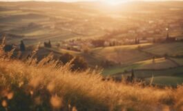 1216x832 06 14 30 30 265265423 265x160