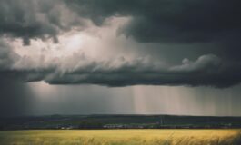 1216x832 08 14 00 29 654870566 265x160