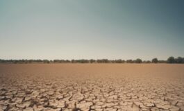 1216x832 09 15 00 42 801364154 265x160