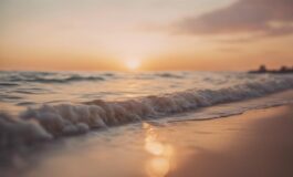 1216x832 09 17 15 33 825029145 265x160