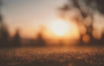 1216x832 15 03 01 54 295485713 364x230