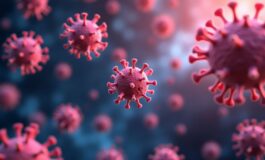 24 16 33 35 0 127305 265x160