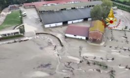 featured 2099078 265x160