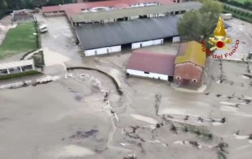 featured 2099078 364x230