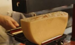 featured 2099936 265x160