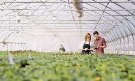 featured 2102570 265x160