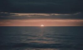 image 746e46ae 9e16 4a81 88f8 4ffe355a8c04 265x160