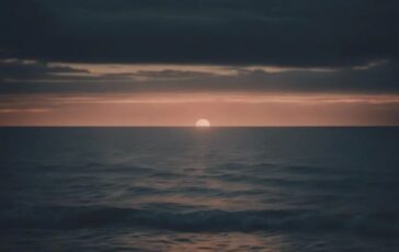 image 746e46ae 9e16 4a81 88f8 4ffe355a8c04 364x230