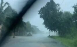 alluvione bologna morto