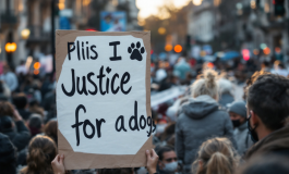 Manifestazione per il cane Blanco maltrattato