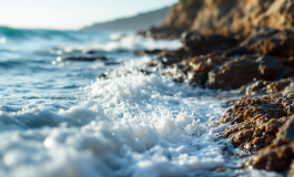 Immagine che rappresenta il mare e l'economia italiana
