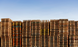 featured 2106900 265x160