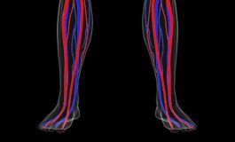 featured 2107673 265x160