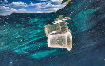 featured 2108752 364x230