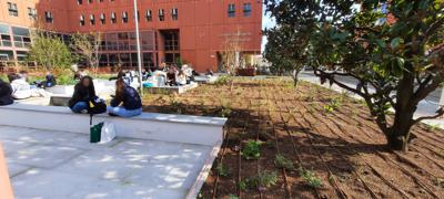 Universit&agrave;, Iannantuoni: "Piazza della Scienza progetto di rigenerazione urbana innovativa"