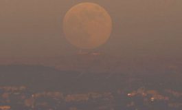 featured 2111675 265x160