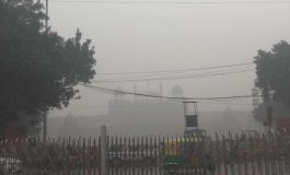 featured 2112452 265x160