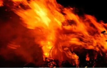 image 25fe9e0c 0b20 46a6 ab24 b1788badfa11 364x230