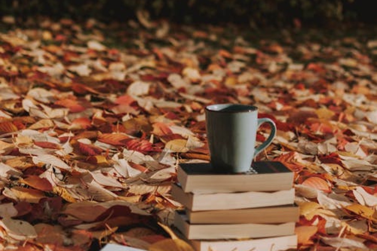 Libri di novembre: consigli di ogni genere
