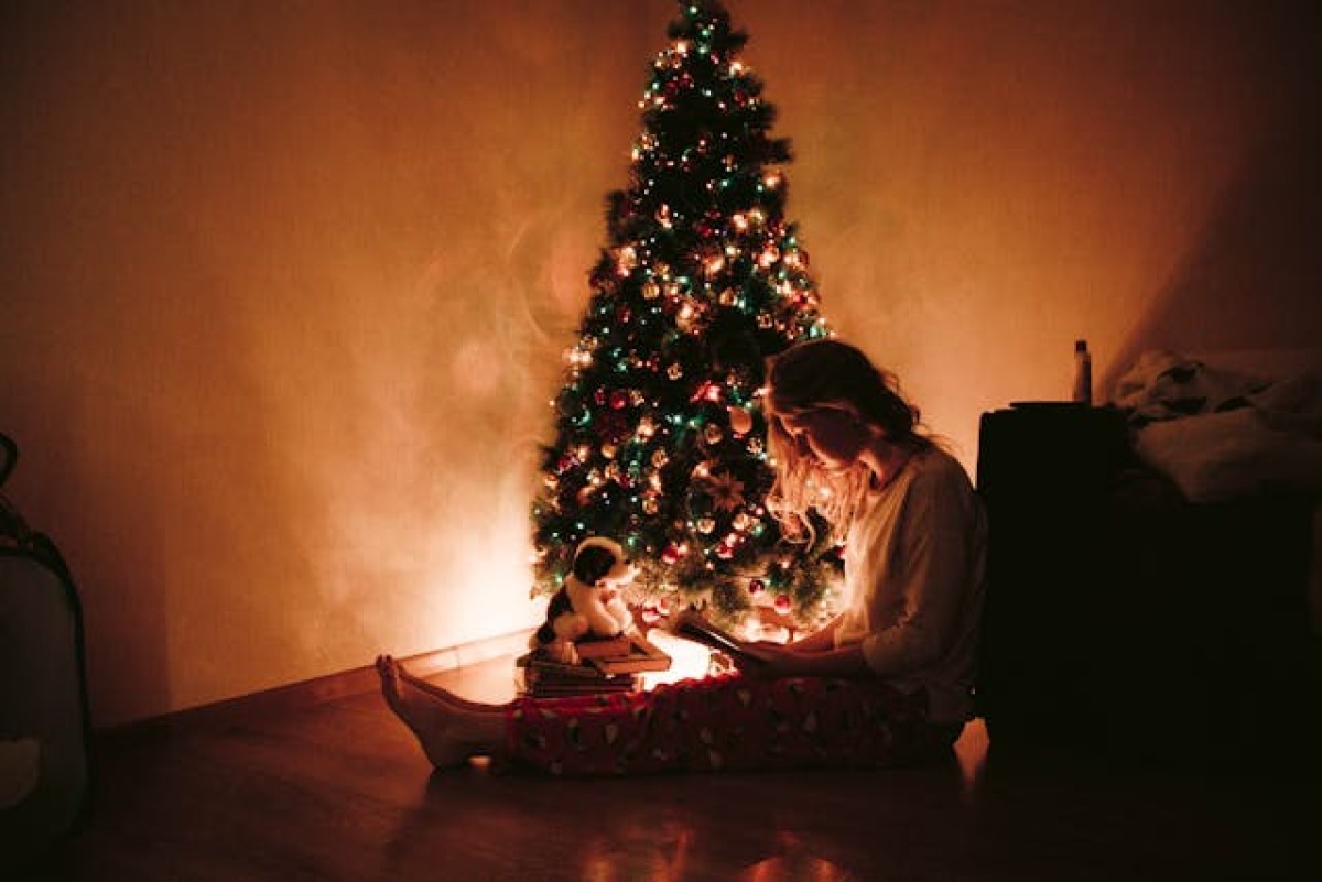Libri da regalare a Natale: tutte le novità