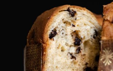 panettone farina di insetti natale