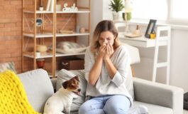 Tarme della polvere: i consigli per eliminarle naturalmente