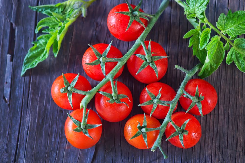 Dai Semi al Frutto: Guida Completa alla Coltivazione dei Pomodori