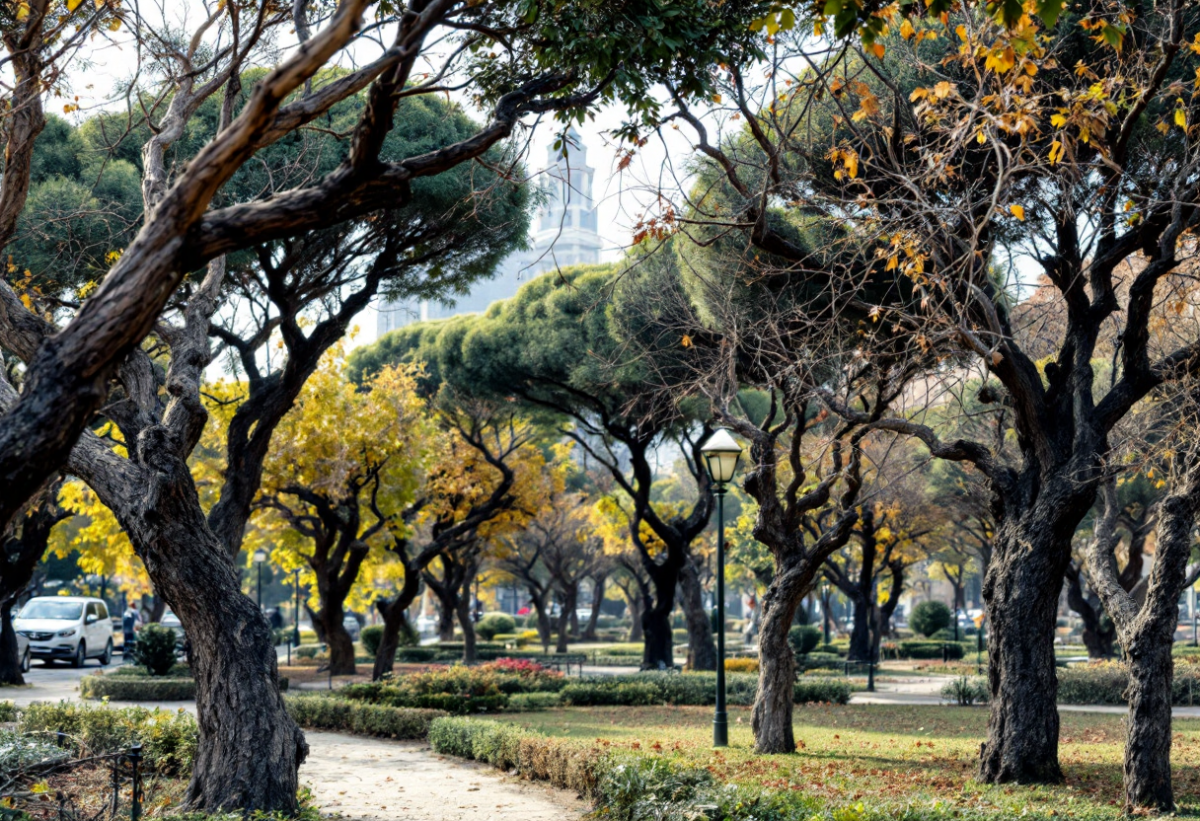 Alberi a rischio a Roma: 190mila esemplari trascurati e pericolosi